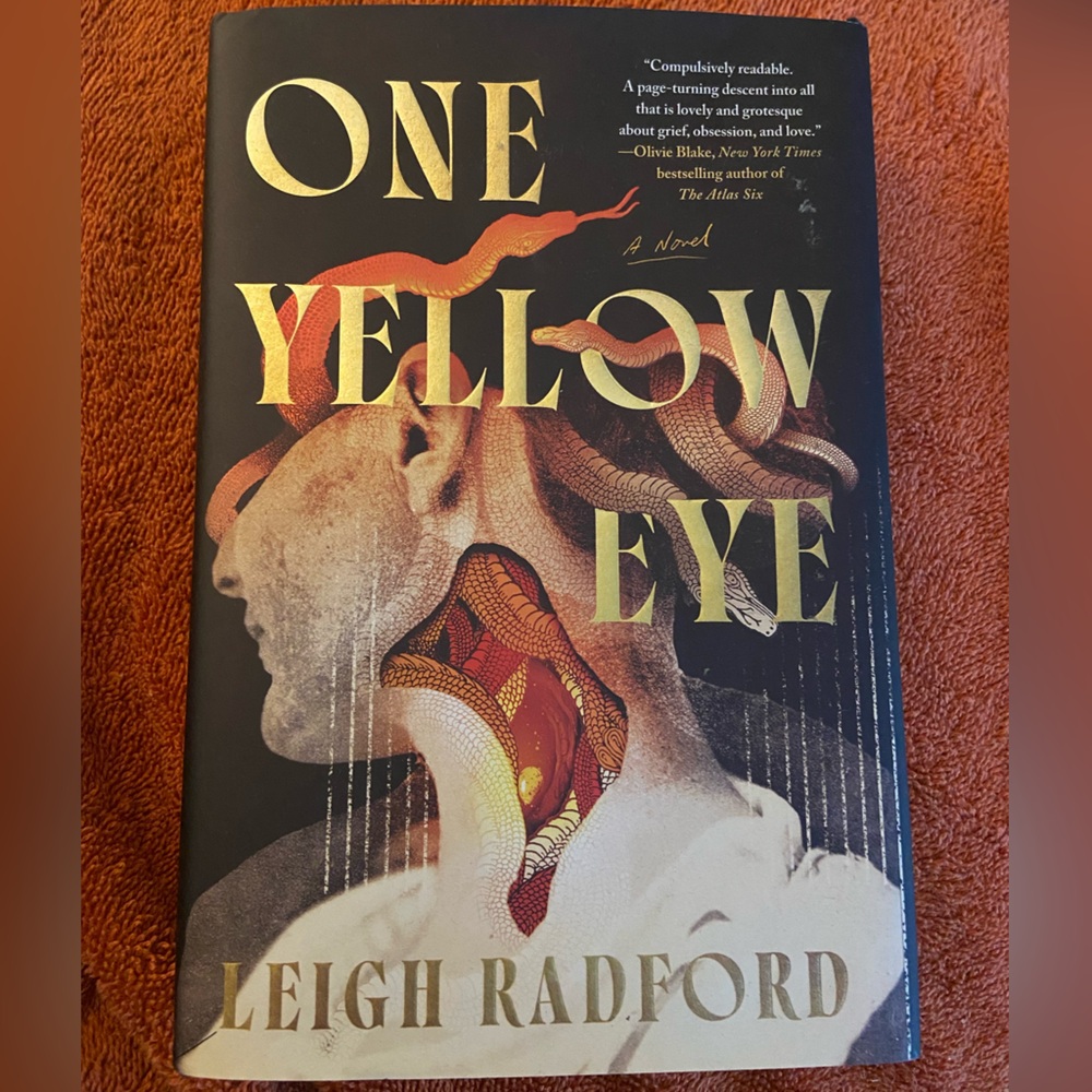 6/$12 One Yellow Eye Book by Leigh Radford